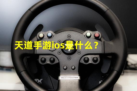 天道手游ios是什么？