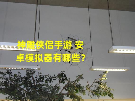 神雕侠侣手游 安卓模拟器有哪些？