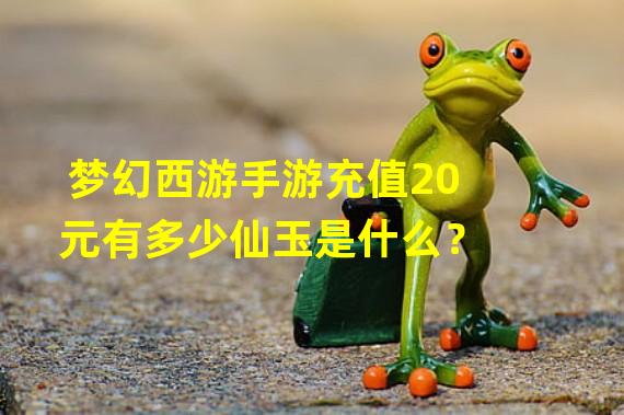 梦幻西游手游充值20元有多少仙玉是什么？