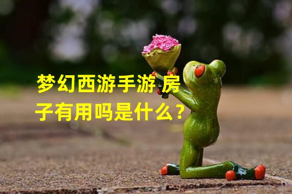 梦幻西游手游 房子有用吗是什么？