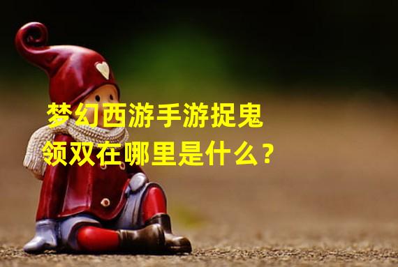 梦幻西游手游捉鬼领双在哪里是什么？