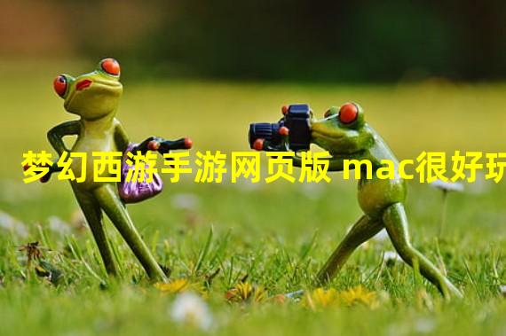 梦幻西游手游网页版 mac很好玩？