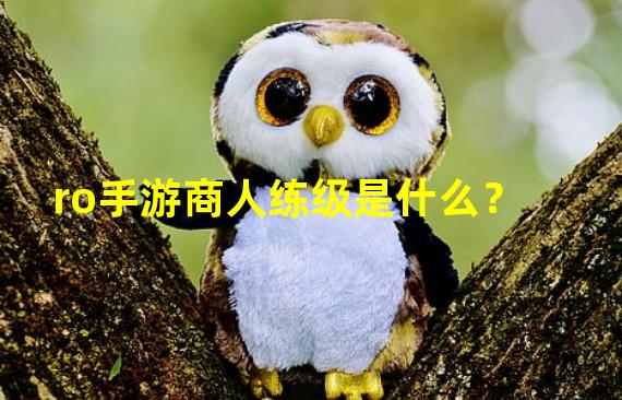 ro手游商人练级是什么？