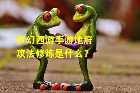 梦幻西游手游地府攻法修炼是什么？