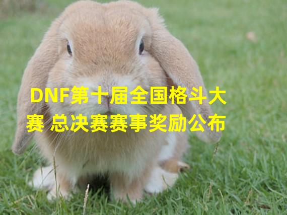 DNF第十届全国格斗大赛 总决赛赛事奖励公布