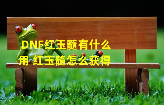 DNF红玉髓有什么用 红玉髓怎么获得