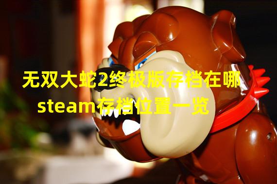 无双大蛇2终极版存档在哪 steam存档位置一览