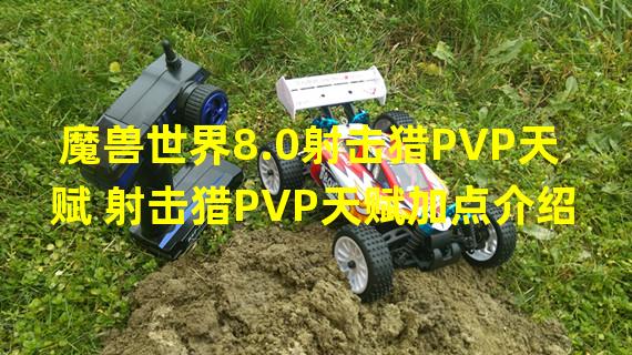 魔兽世界8.0射击猎PVP天赋 射击猎PVP天赋加点介绍