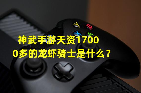 神武手游天资17000多的龙虾骑士是什么？