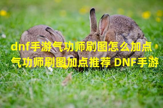 dnf手游气功师刷图怎么加点 气功师刷图加点推荐 DNF手游