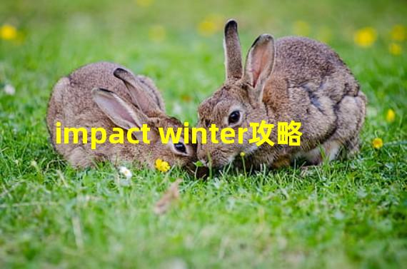 impact winter攻略