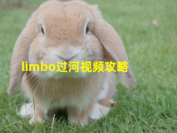 limbo过河视频攻略