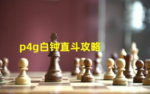 p4g直斗第六层过不去(p4g白钟直斗攻略)