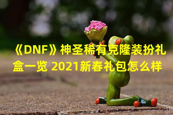 《DNF》神圣稀有克隆装扮礼盒一览 2021新春礼包怎么样