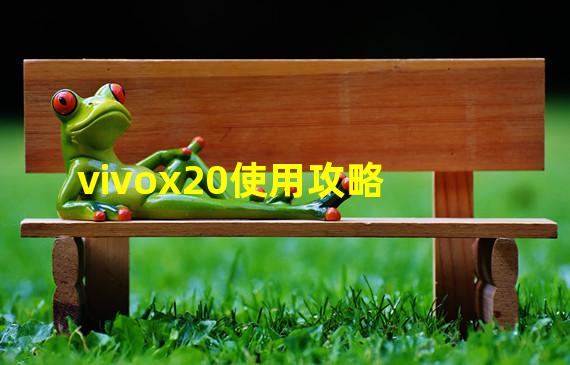 vivox20使用攻略