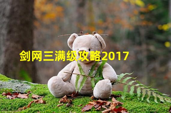 剑网三满级攻略2017