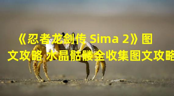 《忍者龙剑传 Sima 2》图文攻略 水晶骷髅全收集图文攻略章节4