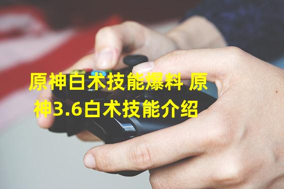 原神白术技能爆料 原神3.6白术技能介绍