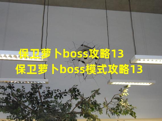 保卫萝卜boss攻略13 保卫萝卜boss模式攻略13