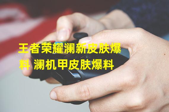 王者荣耀澜新皮肤爆料 澜机甲皮肤爆料