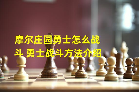 摩尔庄园勇士怎么战斗 勇士战斗方法介绍