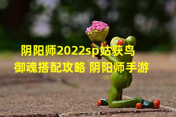 阴阳师2022sp姑获鸟御魂搭配攻略 阴阳师手游