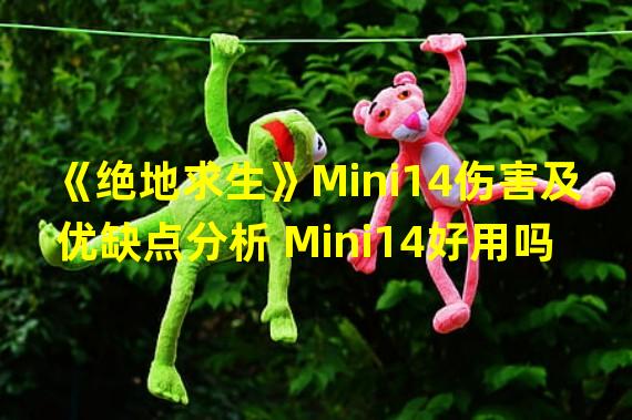 《绝地求生》Mini14伤害及优缺点分析 Mini14好用吗