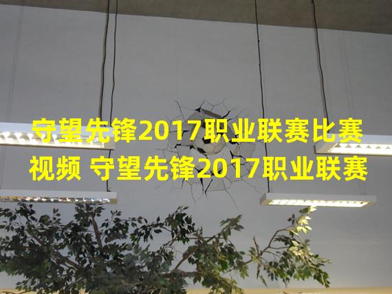 守望先锋2017职业联赛比赛视频 守望先锋2017职业联赛