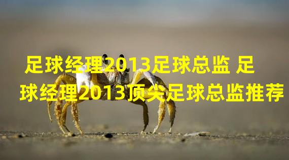 足球经理2013足球总监 足球经理2013顶尖足球总监推荐