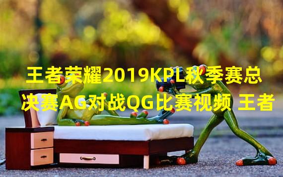 王者荣耀2019KPL秋季赛总决赛AG对战QG比赛视频 王者