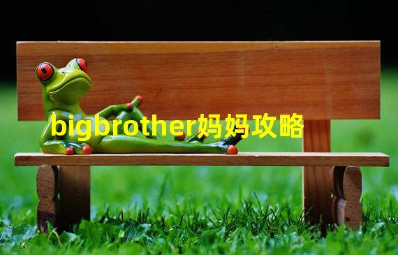 bigbrother妈妈攻略