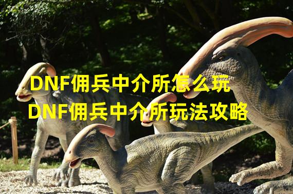 DNF佣兵中介所怎么玩 DNF佣兵中介所玩法攻略