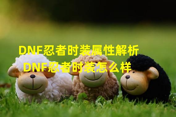 DNF忍者时装属性解析 DNF忍者时装怎么样