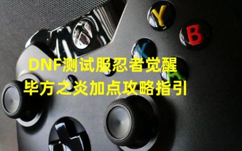 dnf毕方之炎刷图加点100级(DNF测试服忍者觉醒毕方之炎加点攻略指引)