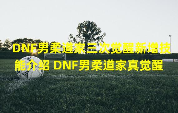 DNF男柔道家三次觉醒新增技能介绍 DNF男柔道家真觉醒