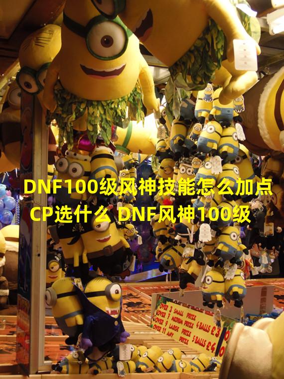 DNF100级风神技能怎么加点CP选什么 DNF风神100级技能