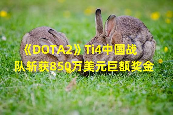 《DOTA2》Ti4中国战队斩获850万美元巨额奖金