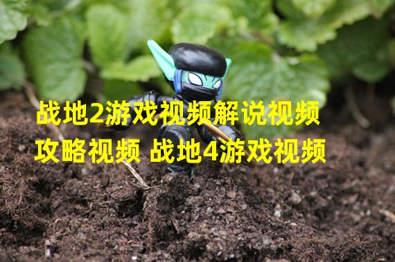 战地2游戏视频解说视频攻略视频 战地4游戏视频