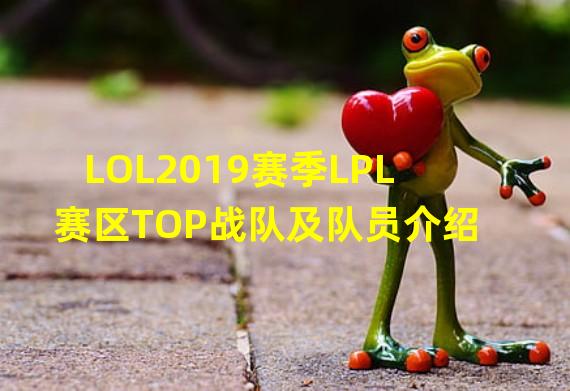 LOL2019赛季LPL赛区TOP战队及队员介绍