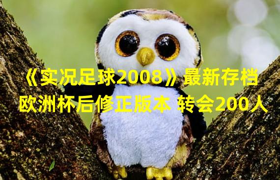 《实况足球2008》最新存档 欧洲杯后修正版本 转会200人