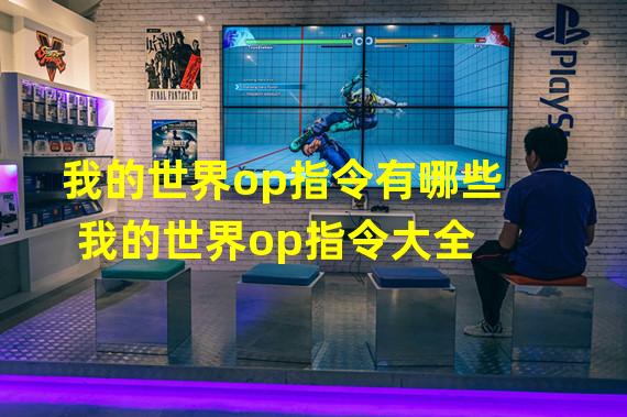 我的世界op指令有哪些 我的世界op指令大全