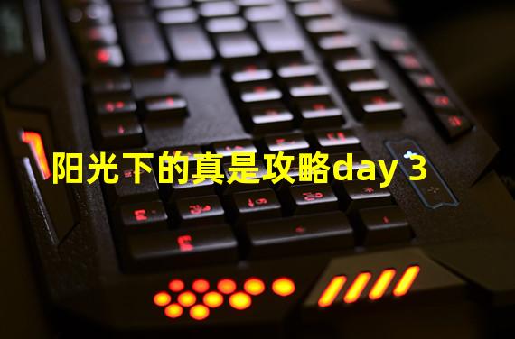 阳光下的真是攻略day 3