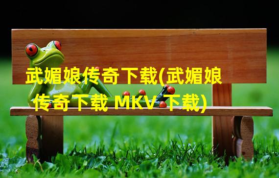 武媚娘传奇下载(武媚娘传奇下载 MKV 下载)