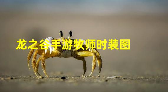 龙之谷手游牧师时装图