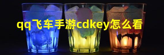 qq飞车手游cdkey怎么看