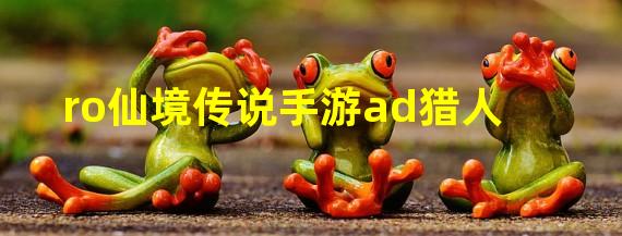 ro仙境传说手游ad猎人