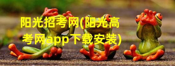 阳光招考网(阳光高考网app下载安装)