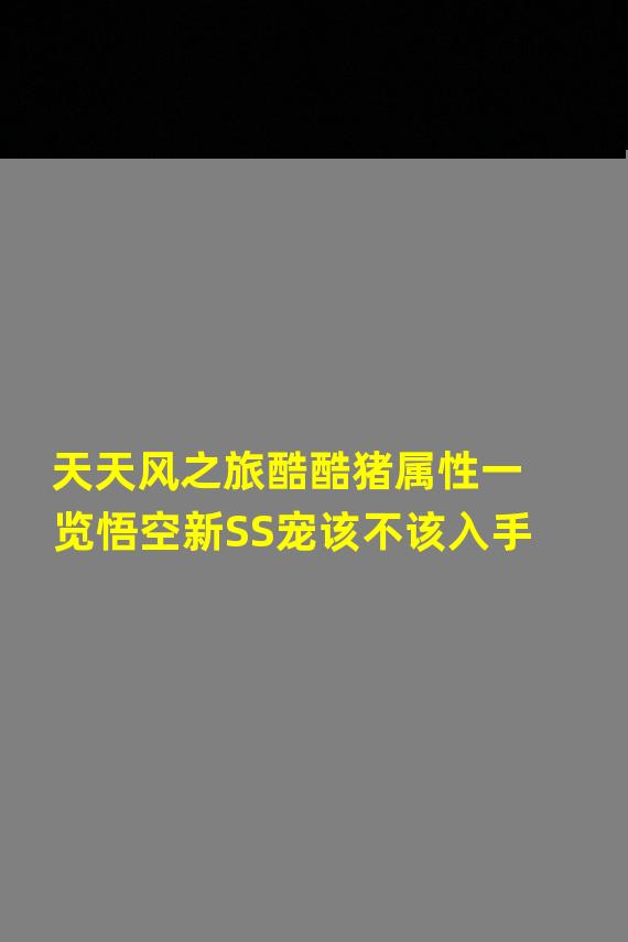 天天风之旅酷酷猪属性一览悟空新SS宠该不该入手