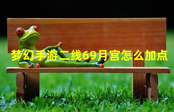 梦幻手游二线69月宫怎么加点