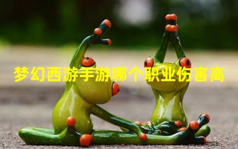 梦幻西游手游哪个职业输出厉害(梦幻西游手游哪个职业伤害高)